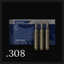 .308 Winchester